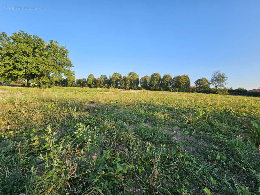 Terrain à BELLERIVE-SUR-ALLIER