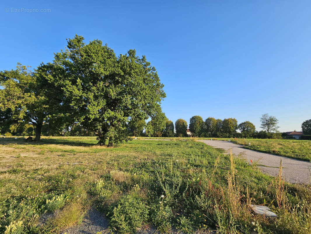 Terrain à BELLERIVE-SUR-ALLIER