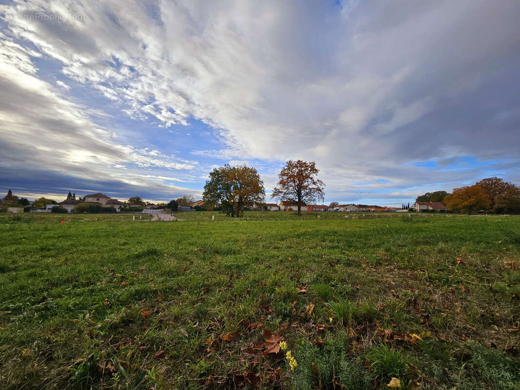 Terrain à BELLERIVE-SUR-ALLIER