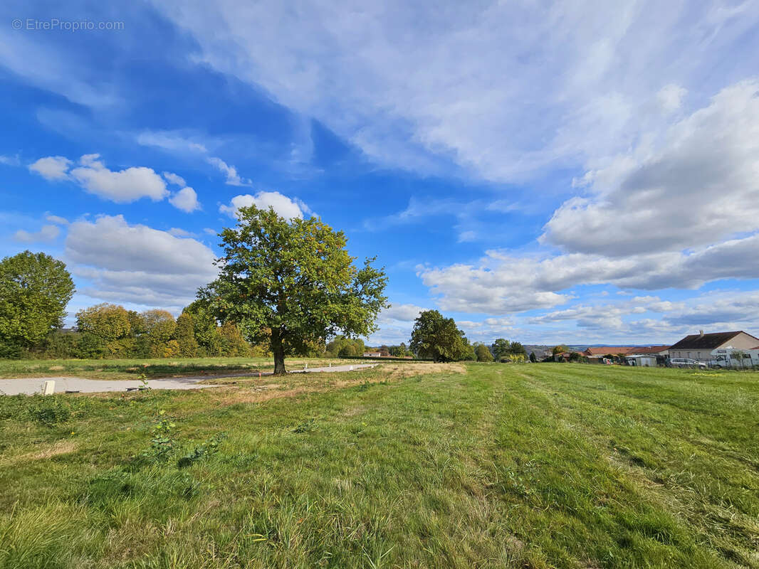 Terrain à BELLERIVE-SUR-ALLIER