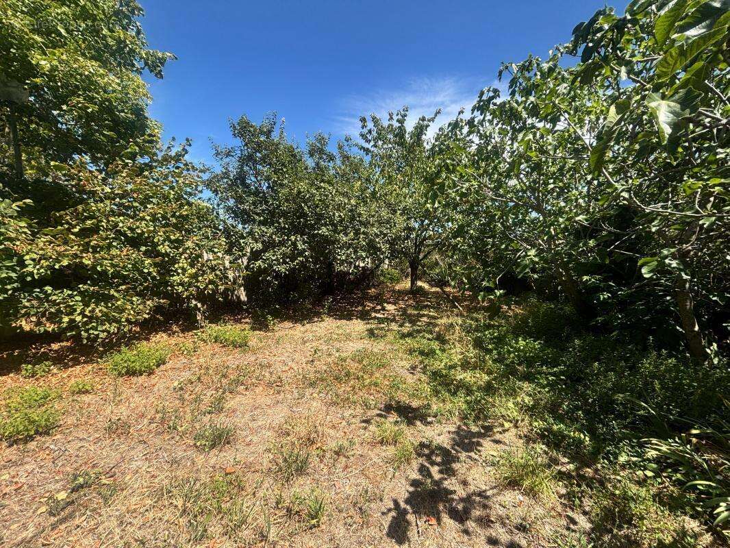 Maison à CARCASSONNE