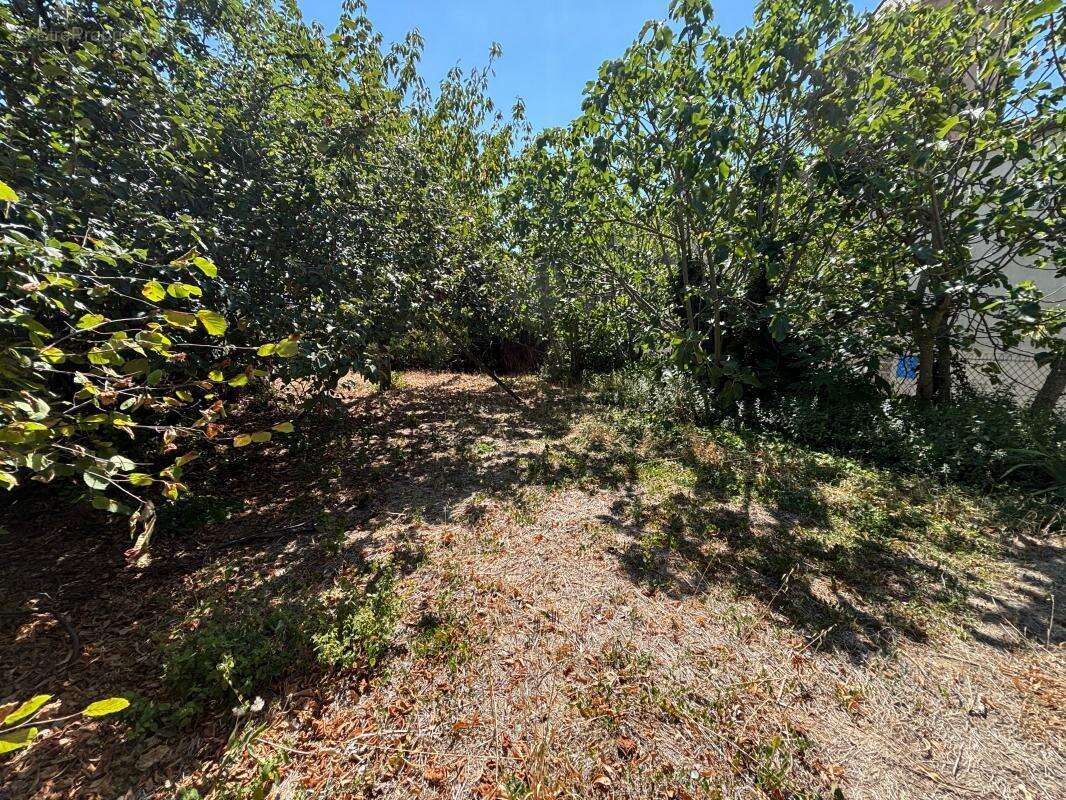 Maison à CARCASSONNE