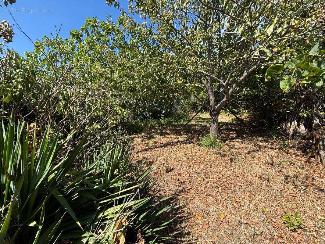 Maison à CARCASSONNE