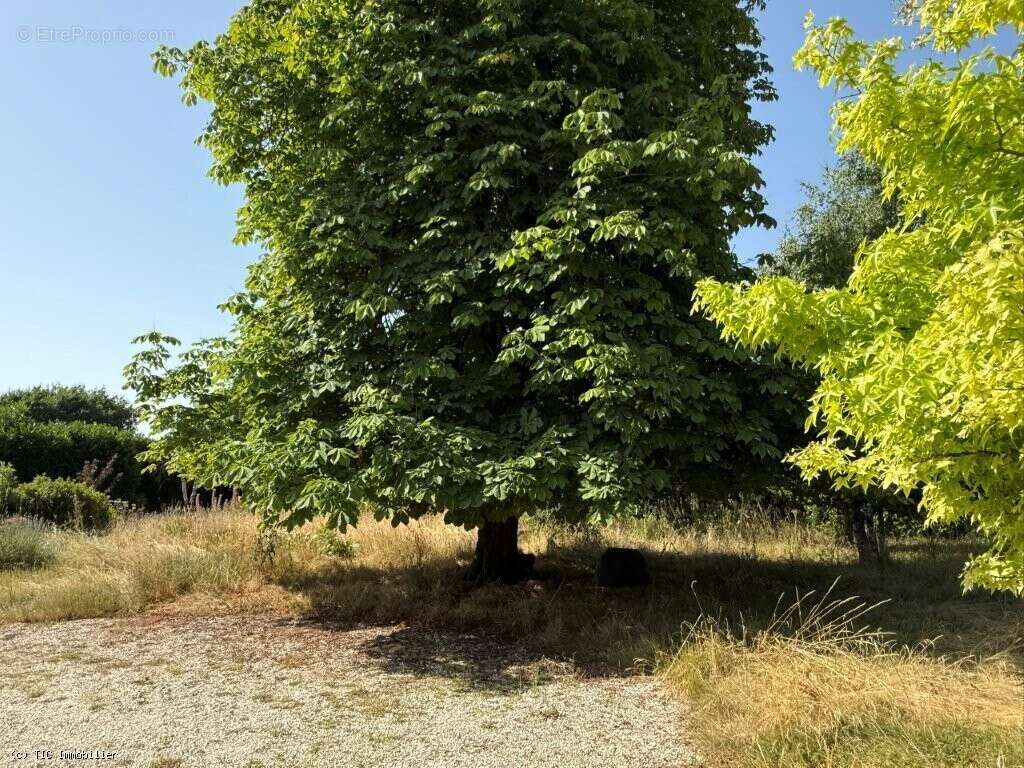 Maison à VILLEFAGNAN
