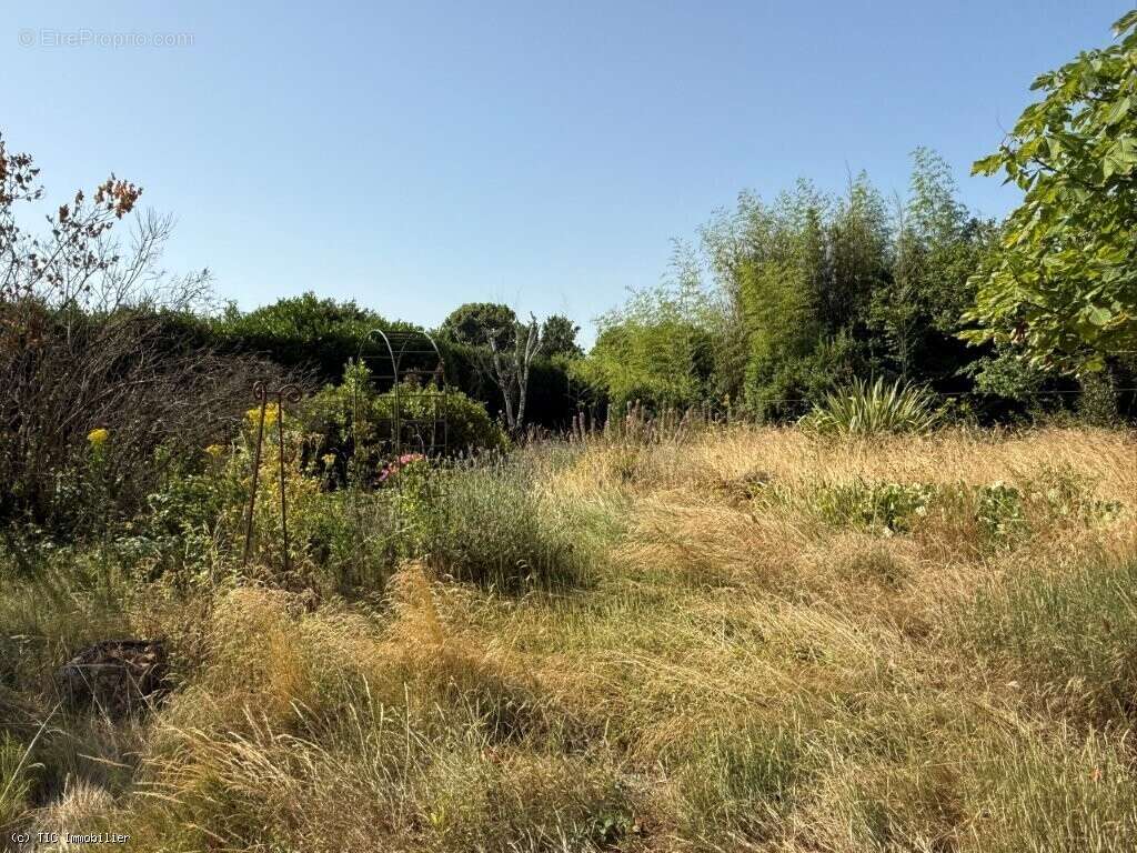 Maison à VILLEFAGNAN