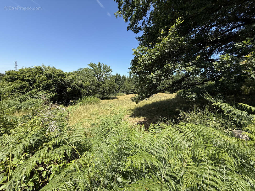 Terrain à PEYRILHAC