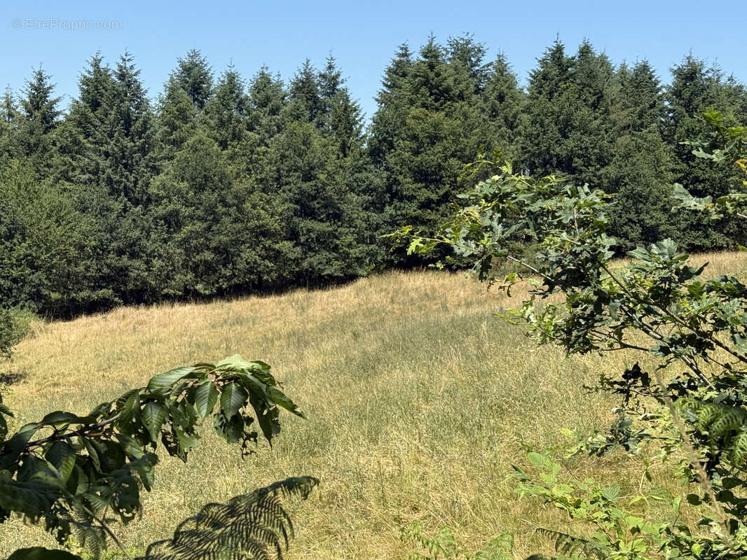 Terrain à PEYRILHAC