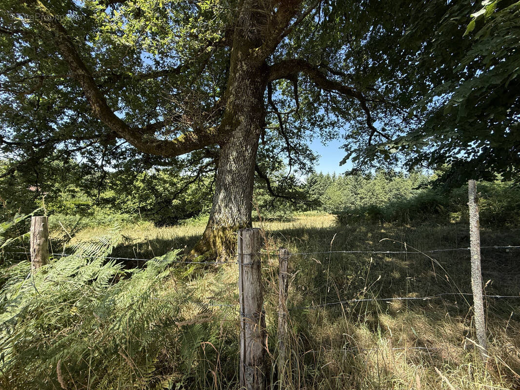 Terrain à PEYRILHAC