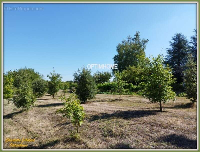Maison à BARBEZIEUX-SAINT-HILAIRE