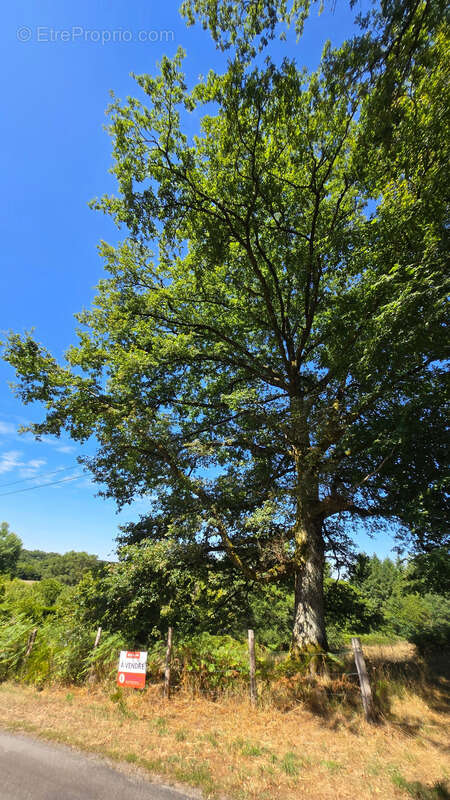 Terrain à PEYRILHAC