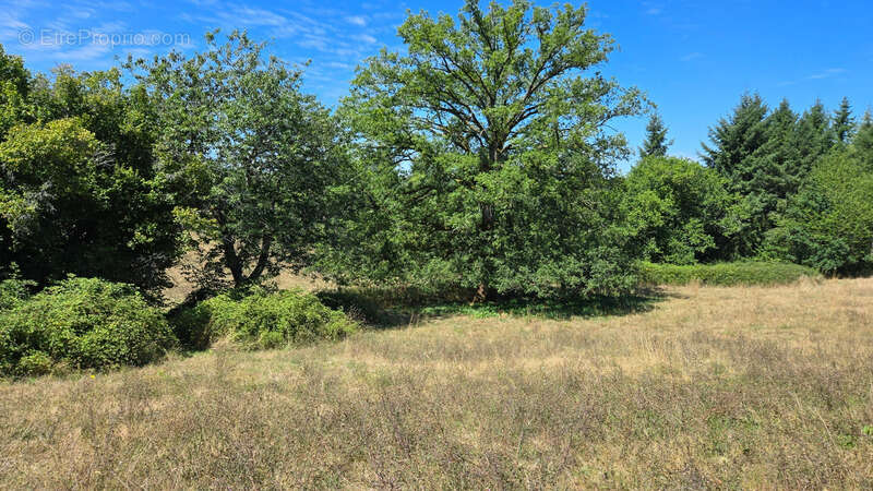 Terrain à PEYRILHAC