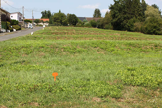 Terrain à MONTCEAU-LES-MINES