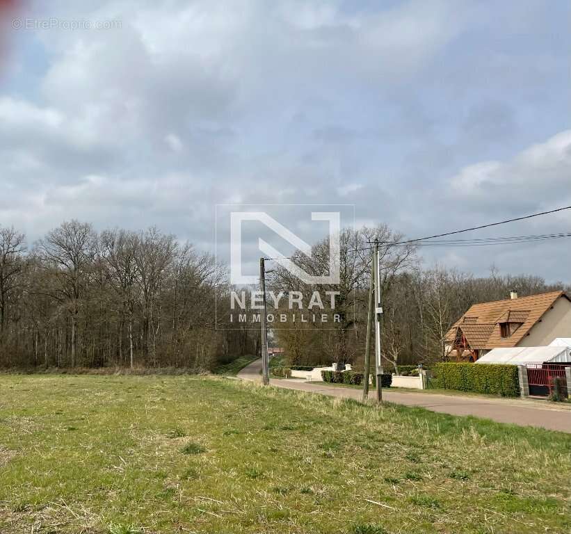 Terrain à SAINT-MARTIN-EN-BRESSE