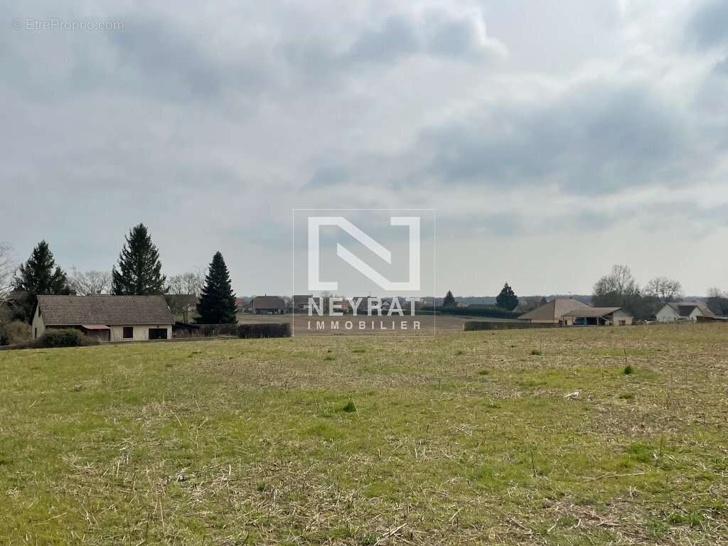Terrain à SAINT-MARTIN-EN-BRESSE