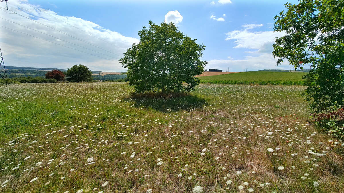 Terrain à ISSOIRE