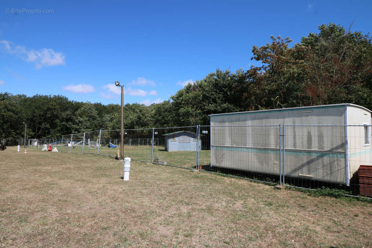 Commerce à SAINT-JUST-LUZAC