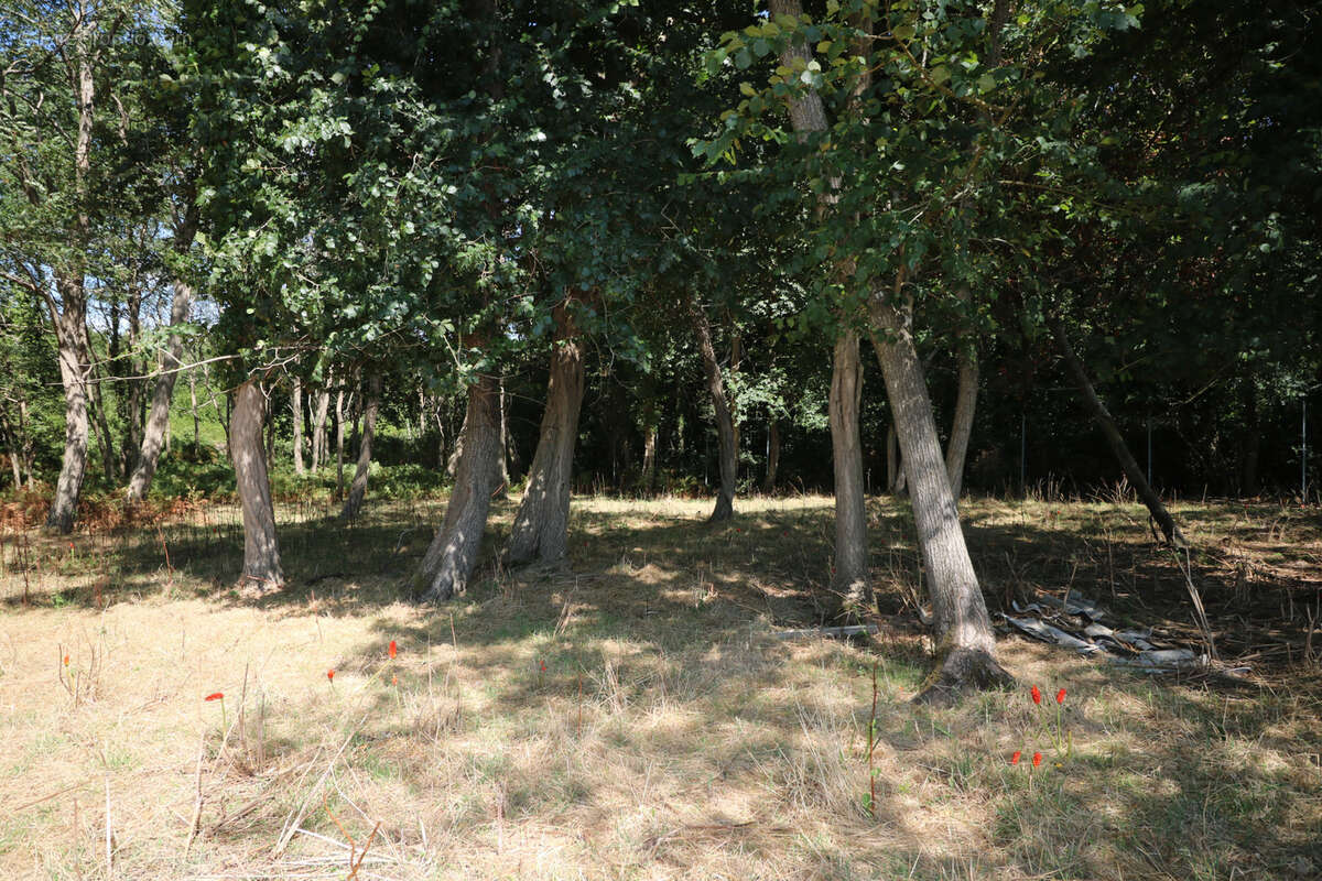 Commerce à SAINT-JUST-LUZAC