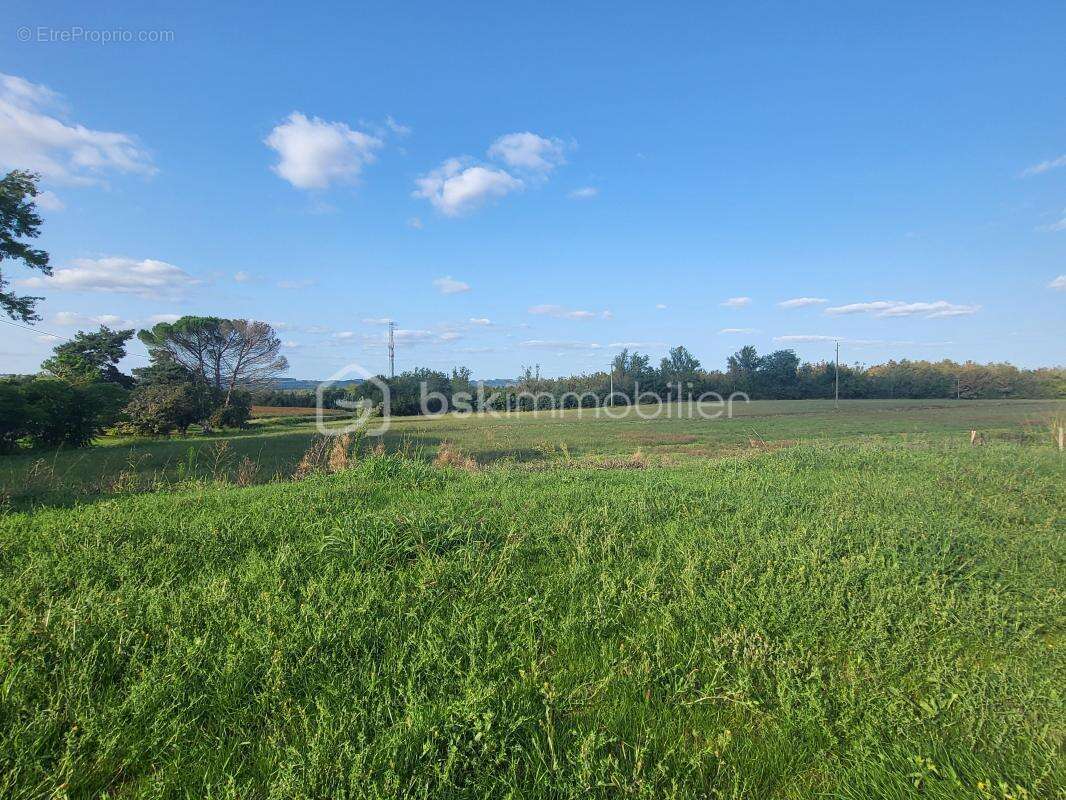 Maison à SAINTE-COLOMBE-EN-BRUILHOIS