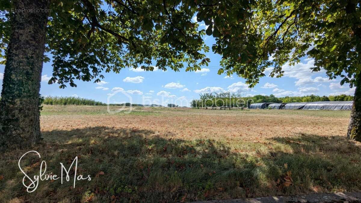 Maison à SAINT-GEORGES