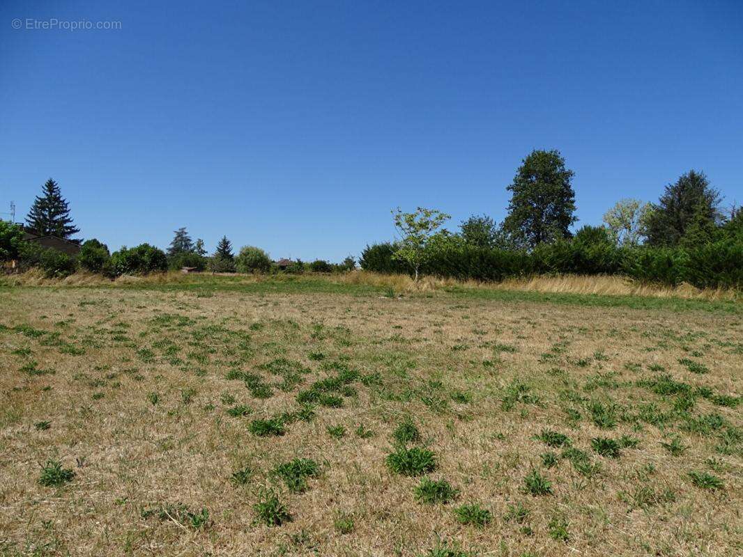 Terrain à MONTIGNAC