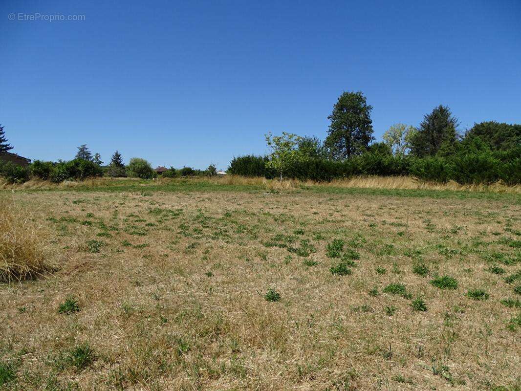 Terrain à MONTIGNAC