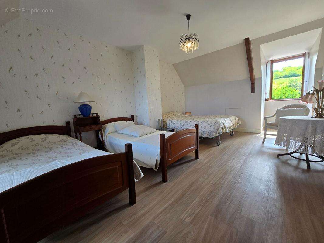 Maison à CREUZIER-LE-VIEUX