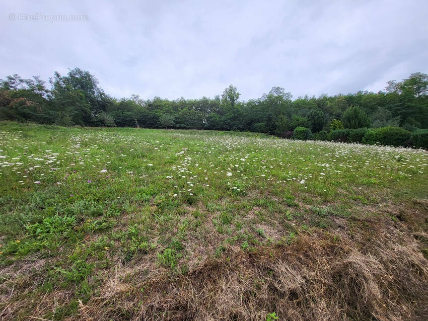 Terrain à CHATEAUNEUF-LES-BAINS