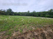 Terrain à CHATEAUNEUF-LES-BAINS