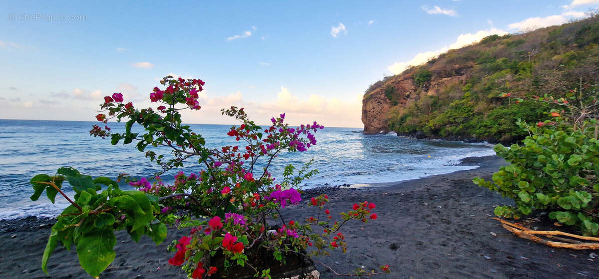 Appartement à CASE-PILOTE