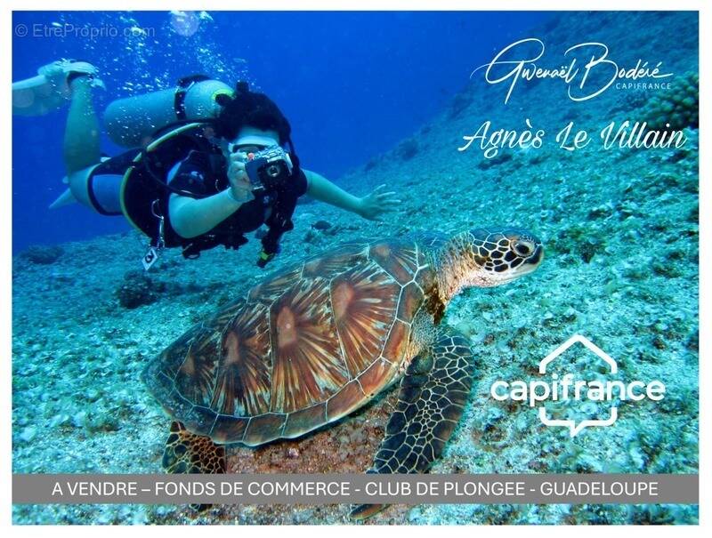 Commerce à BOUILLANTE