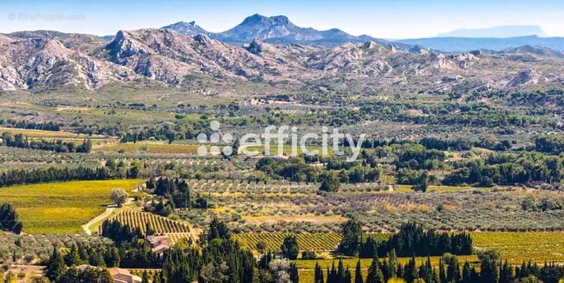 Commerce à SALON-DE-PROVENCE
