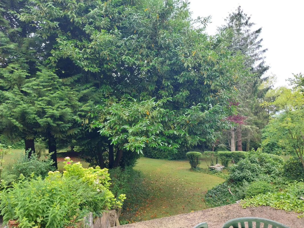 Maison à NEUFCHATEL-EN-BRAY