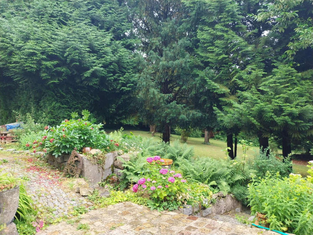 Maison à NEUFCHATEL-EN-BRAY