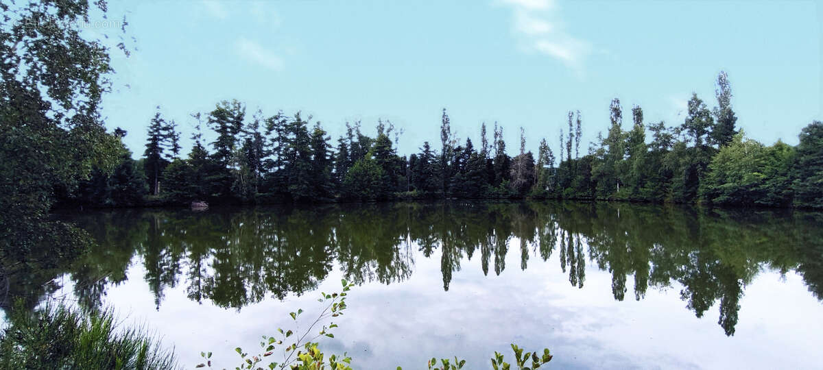 Maison à SAULCY-SUR-MEURTHE