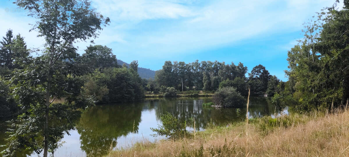 Maison à SAULCY-SUR-MEURTHE