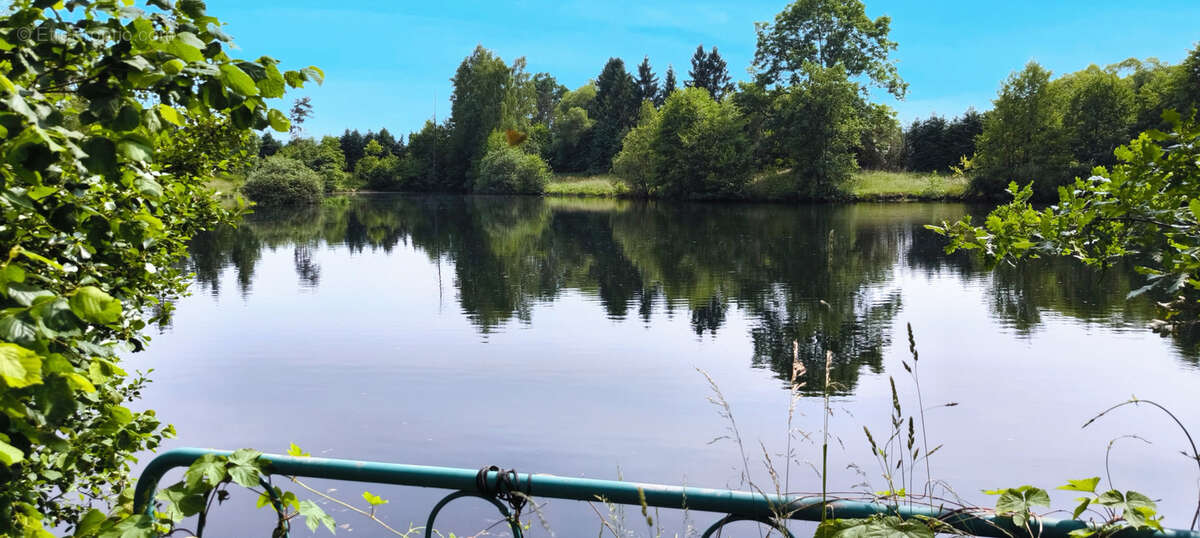 Maison à SAULCY-SUR-MEURTHE