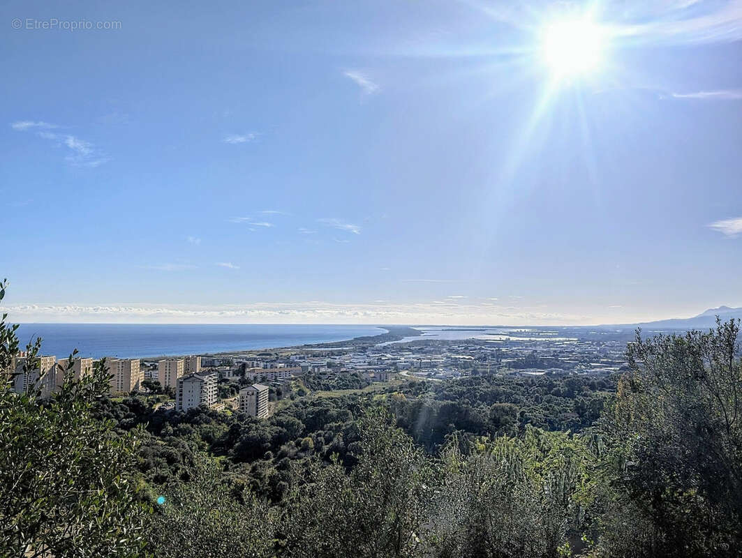 Maison à SAN-MARTINO-DI-LOTA