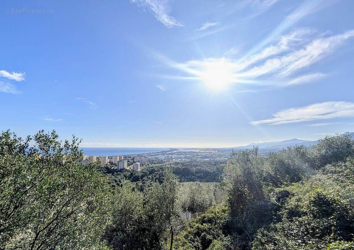 Maison à SAN-MARTINO-DI-LOTA