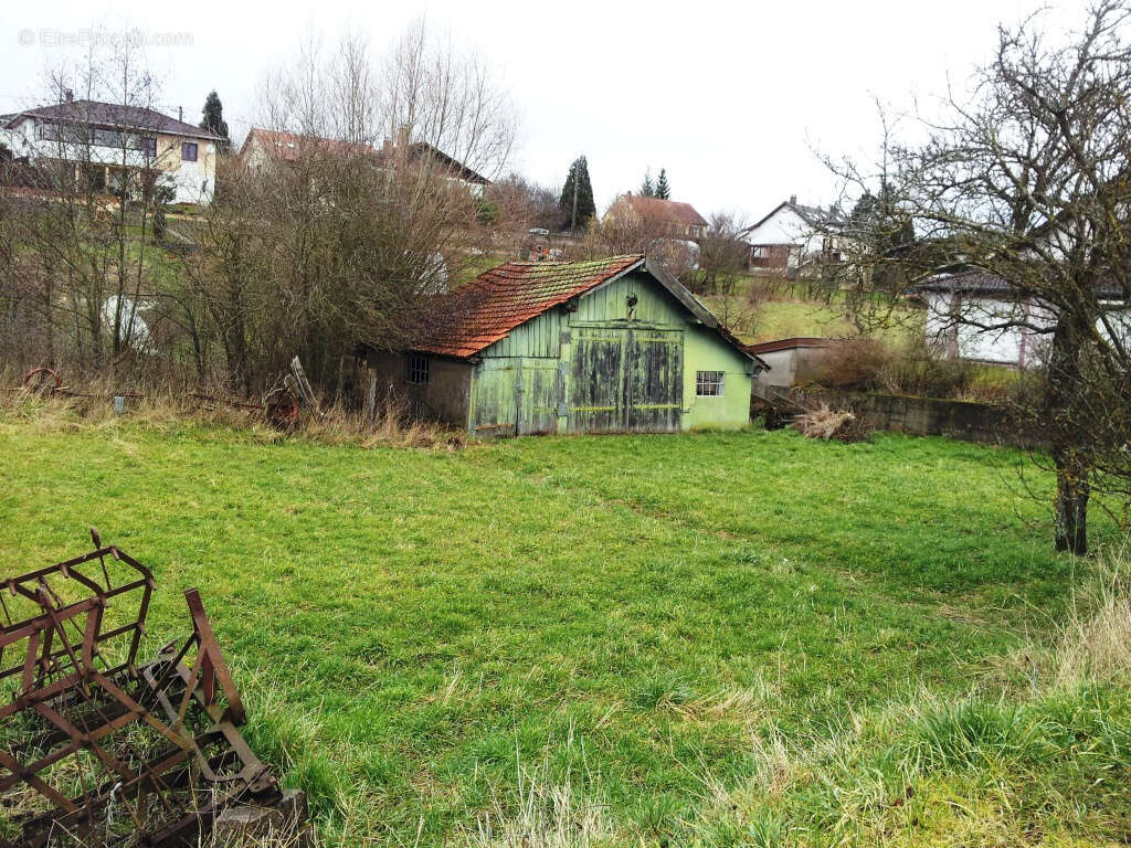 Terrain à DAMELEVIERES