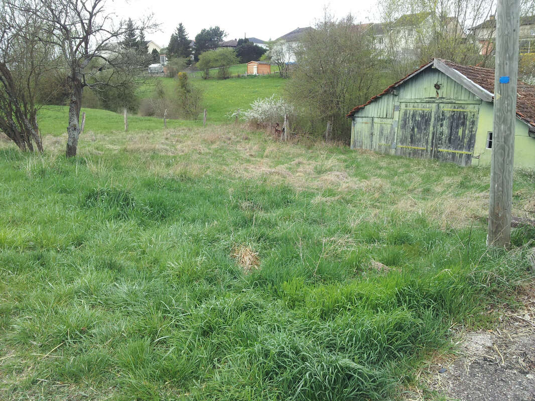 Terrain à DAMELEVIERES