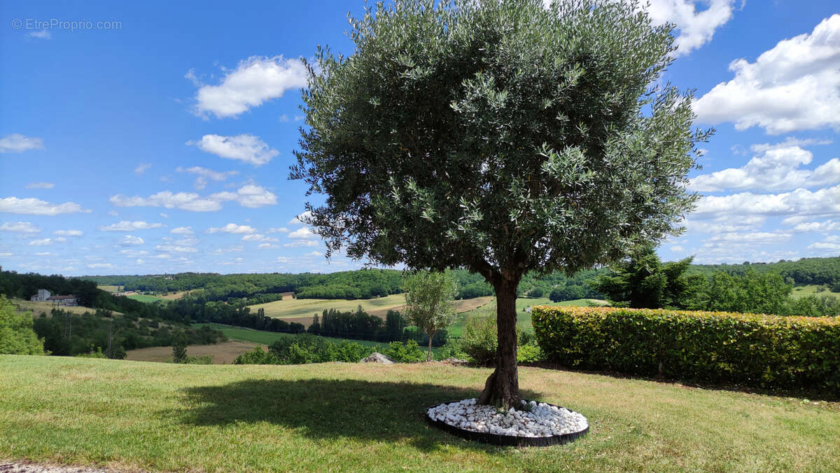 Maison à CASTELNAU-MONTRATIER