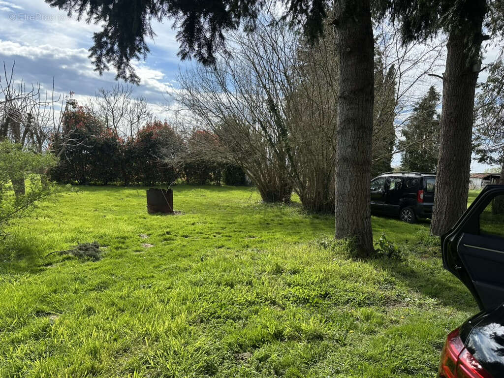 Terrain à COURS-LES-BARRES
