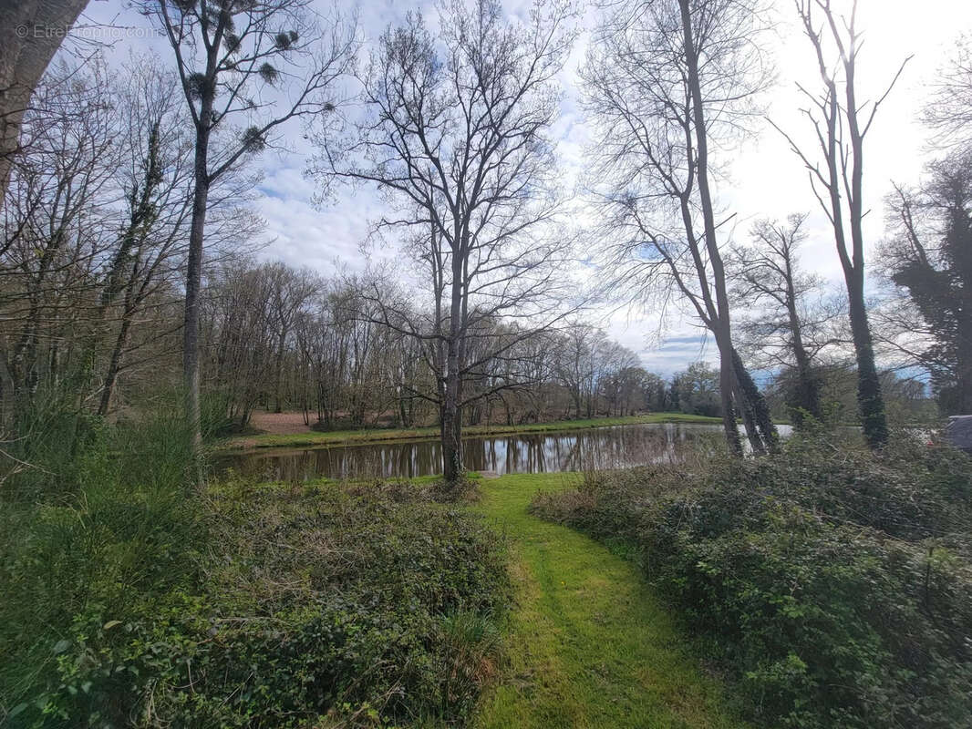 Terrain à LE CHAUTAY