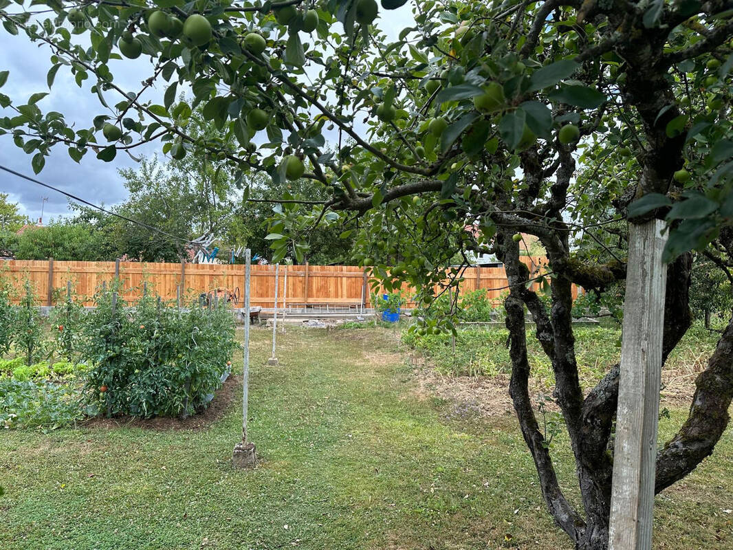 Maison à CERCY-LA-TOUR