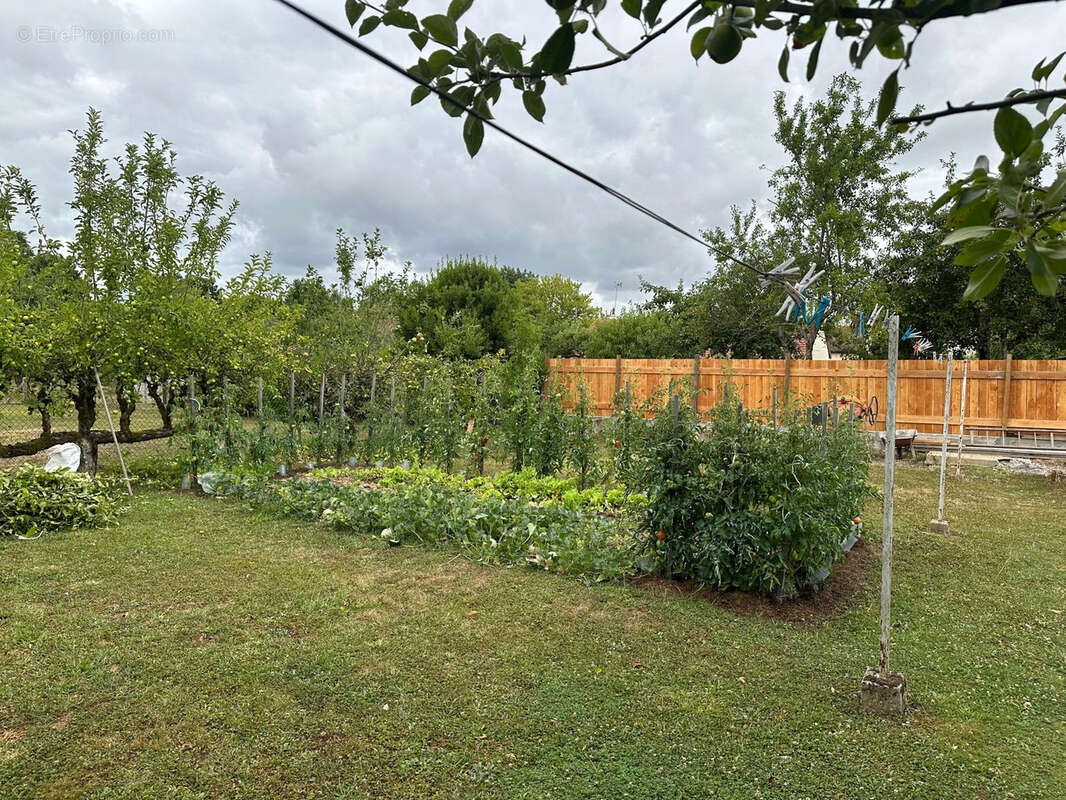 Maison à CERCY-LA-TOUR