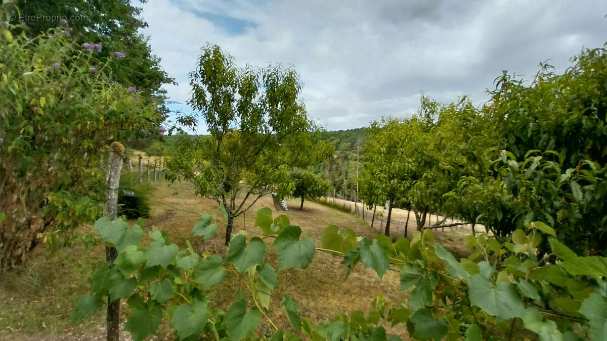 Maison à CHATEAU-L&#039;EVEQUE