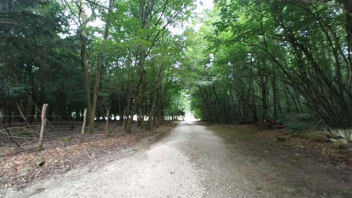 Maison à CHATEAU-L&#039;EVEQUE