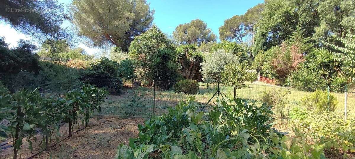 Maison à LA LONDE-LES-MAURES