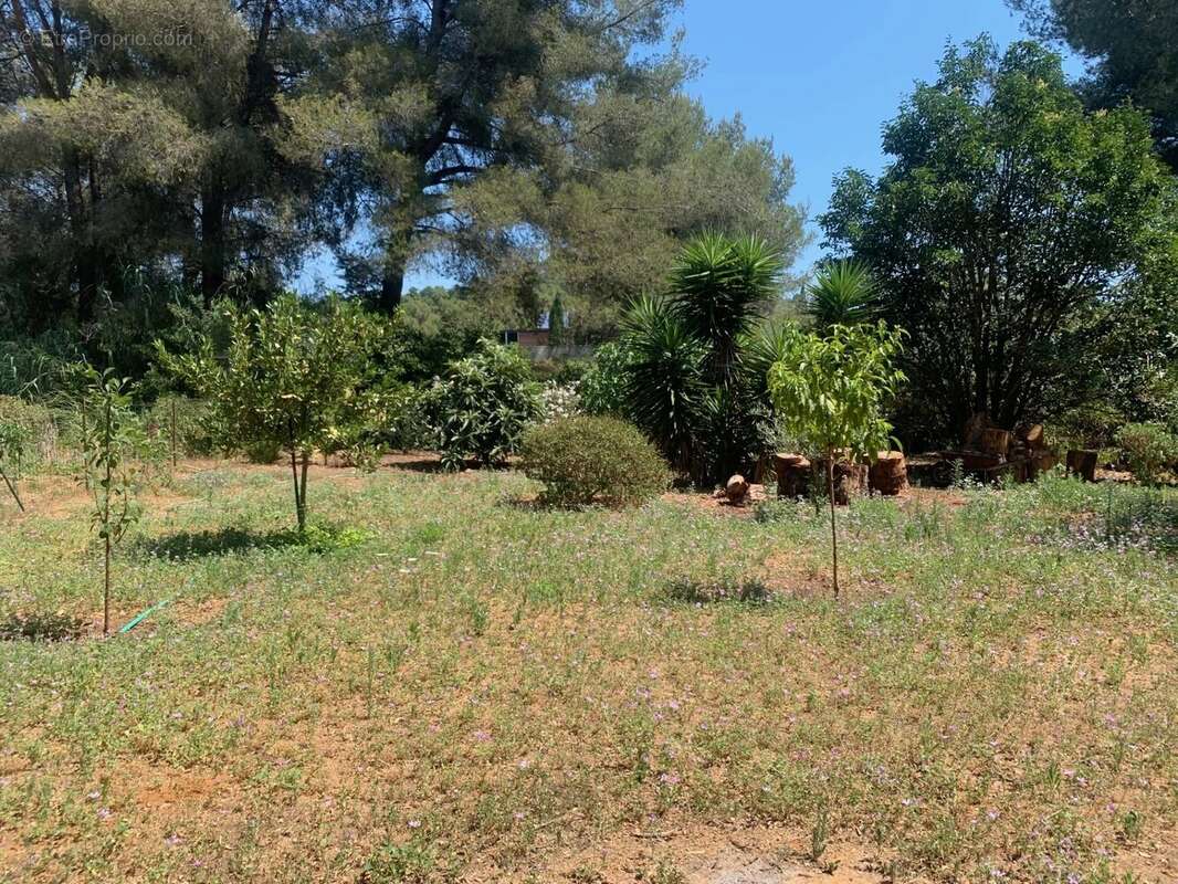 Maison à LA LONDE-LES-MAURES