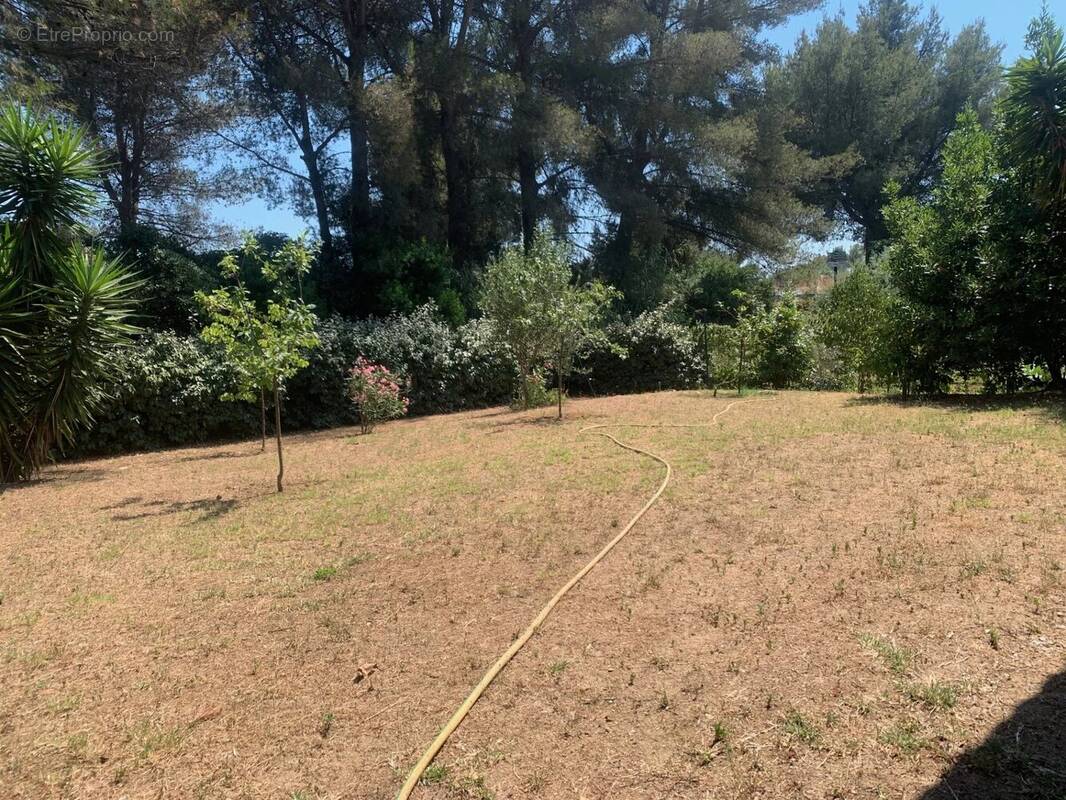 Maison à LA LONDE-LES-MAURES